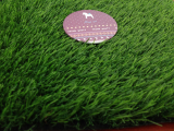 SGS Approved Environmental Artificial Grass Carpet